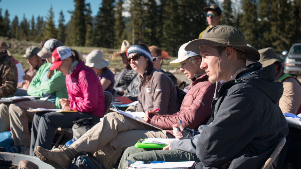 Students on a field session outside