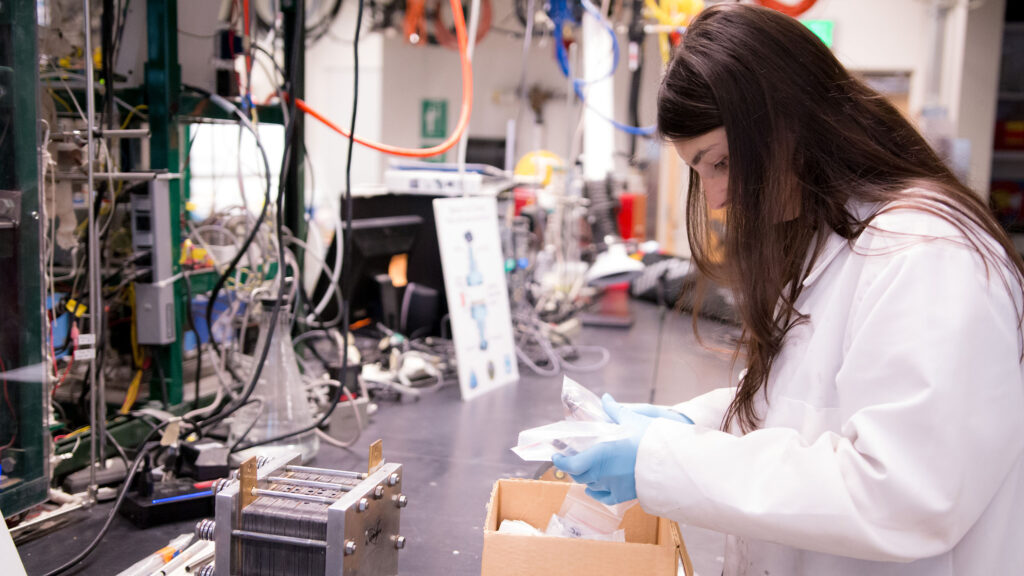 Biology student working in the lab