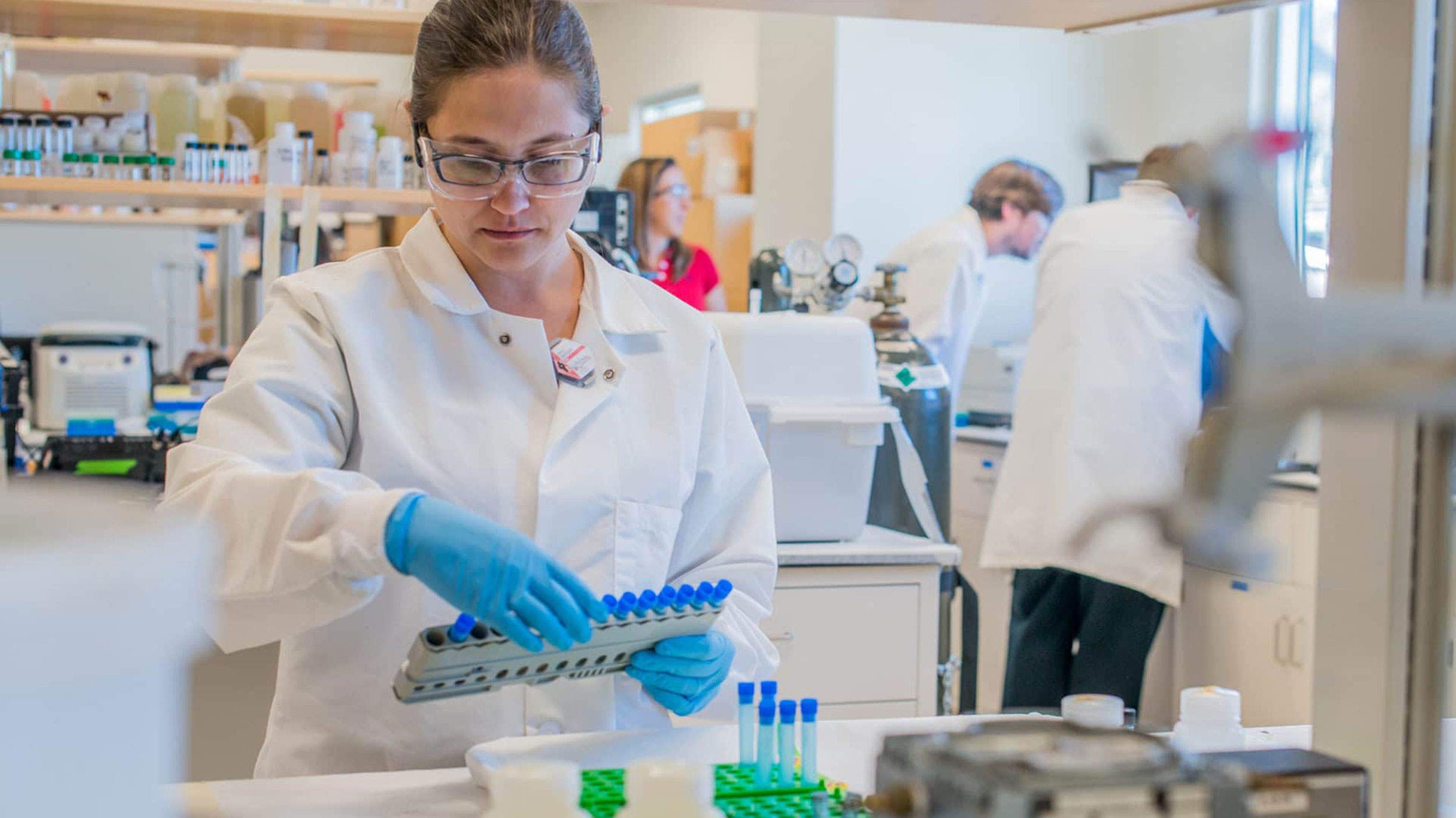 Chemistry Lab chemical engineer holding and examining test tubes in a lab setting