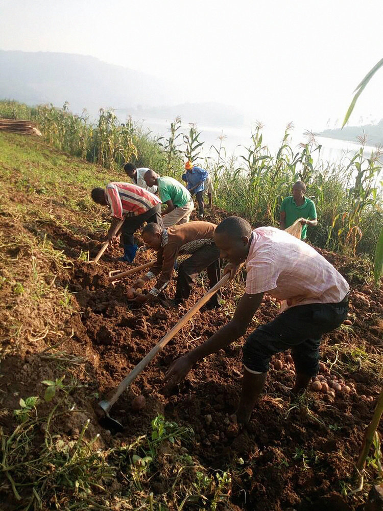 People planting seeds at the Entusi Model Farm