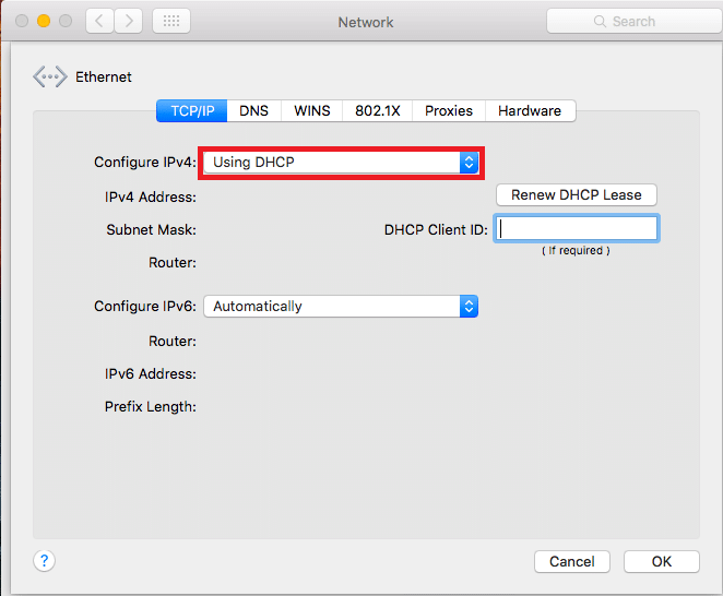 Mac dynamic IP settings dialog
