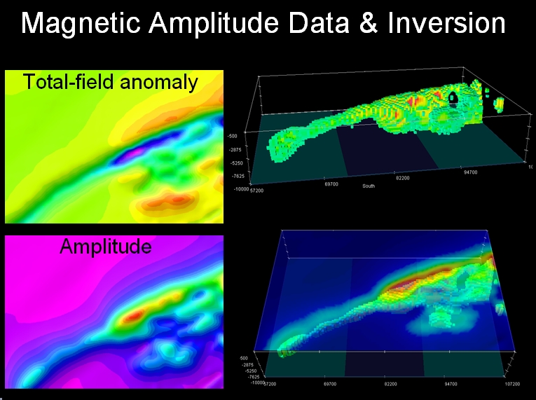 Magnetic Amplitude Data and Inversion