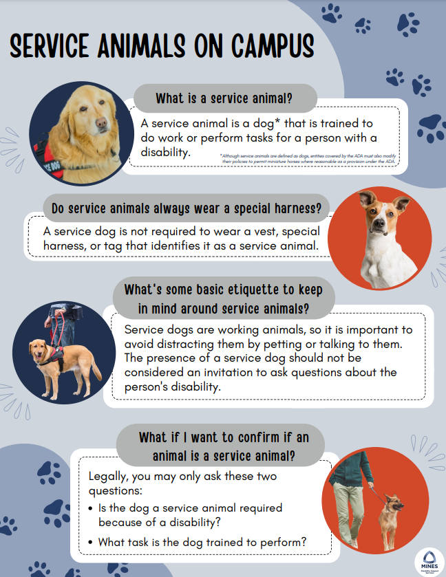 Service Animals