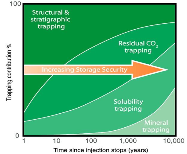 Simulation of Coupled Processes of Flow, Transport and Storage of CO2 in Saline Aquifers