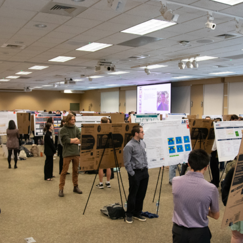 Join us at the Undergraduate Research Fall Symposium