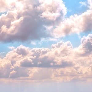 Grandey Objective Dreams Gallery