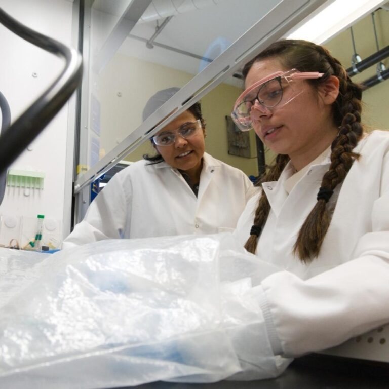 FIRST program gives first-year students direct research experience