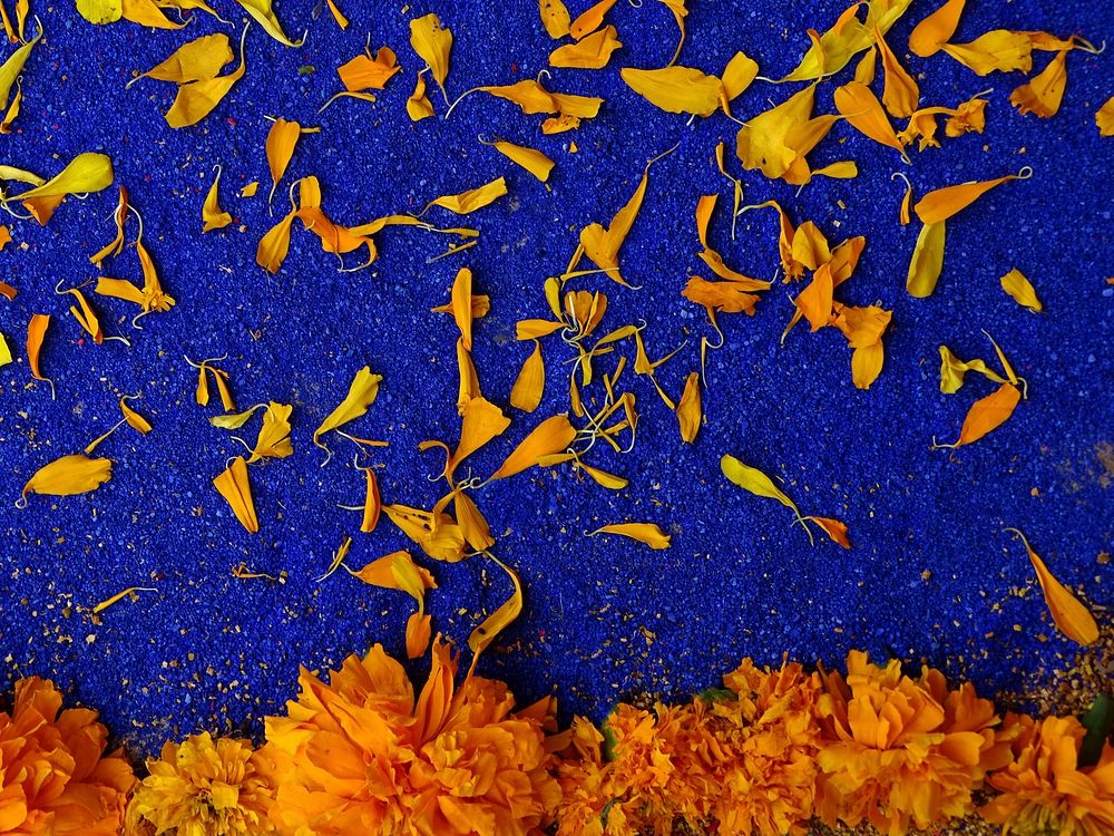 marigolds