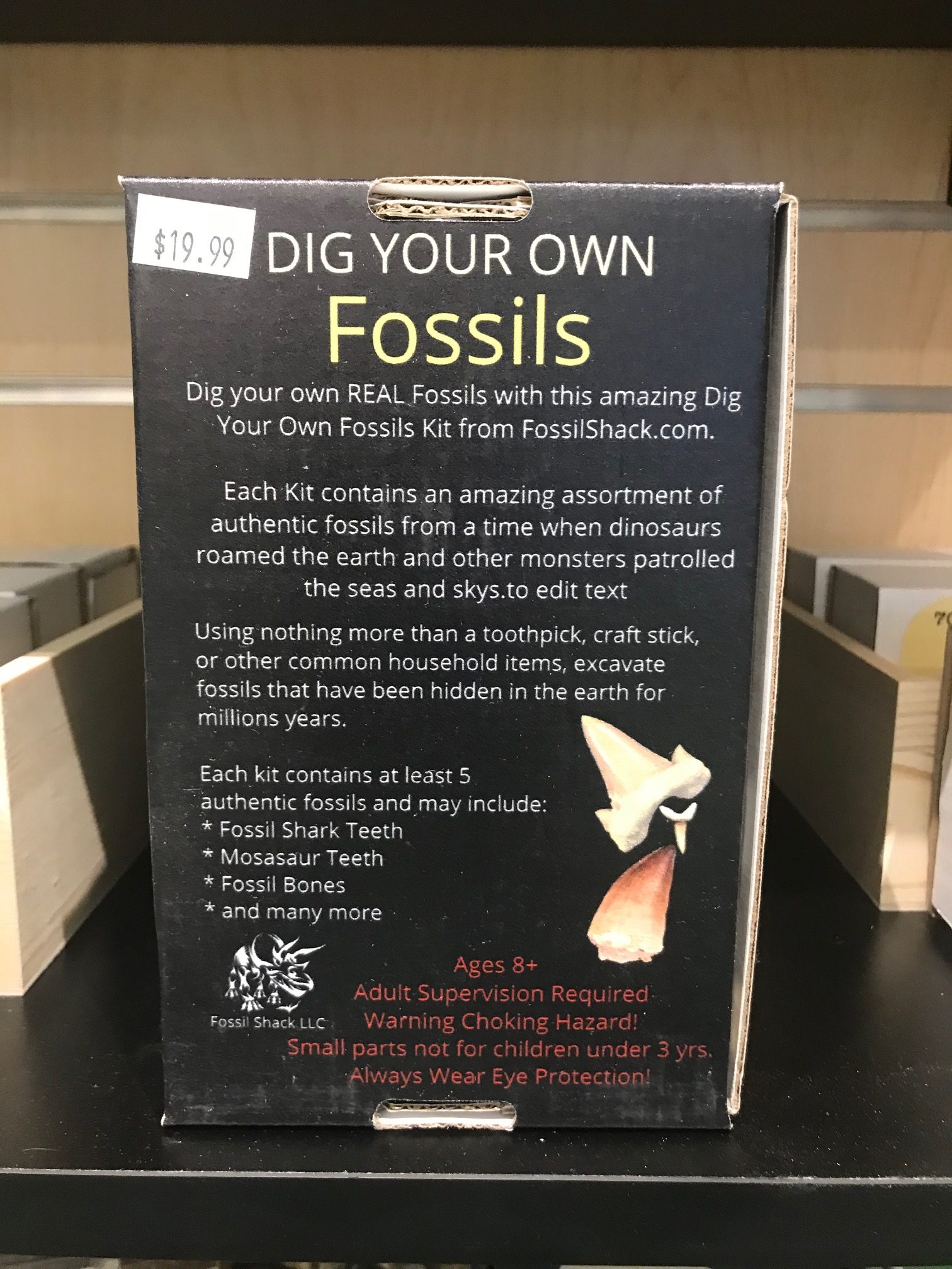 Dig Your Own Fossils Kit Lockdown Kids Nature Dig Your Own Minerals Kit 