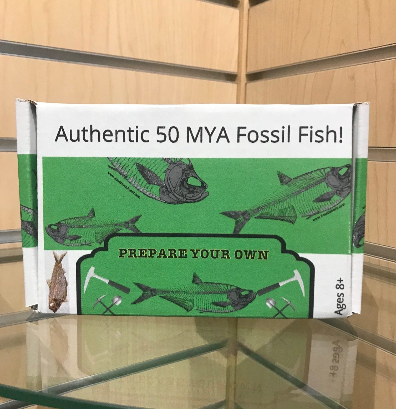 dig your own fossils