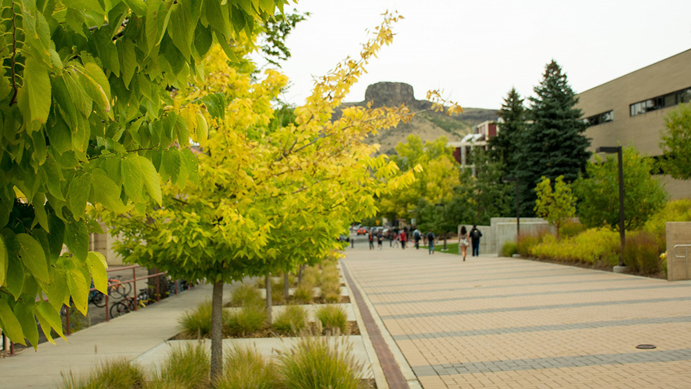 Colorado School of Mines Campus