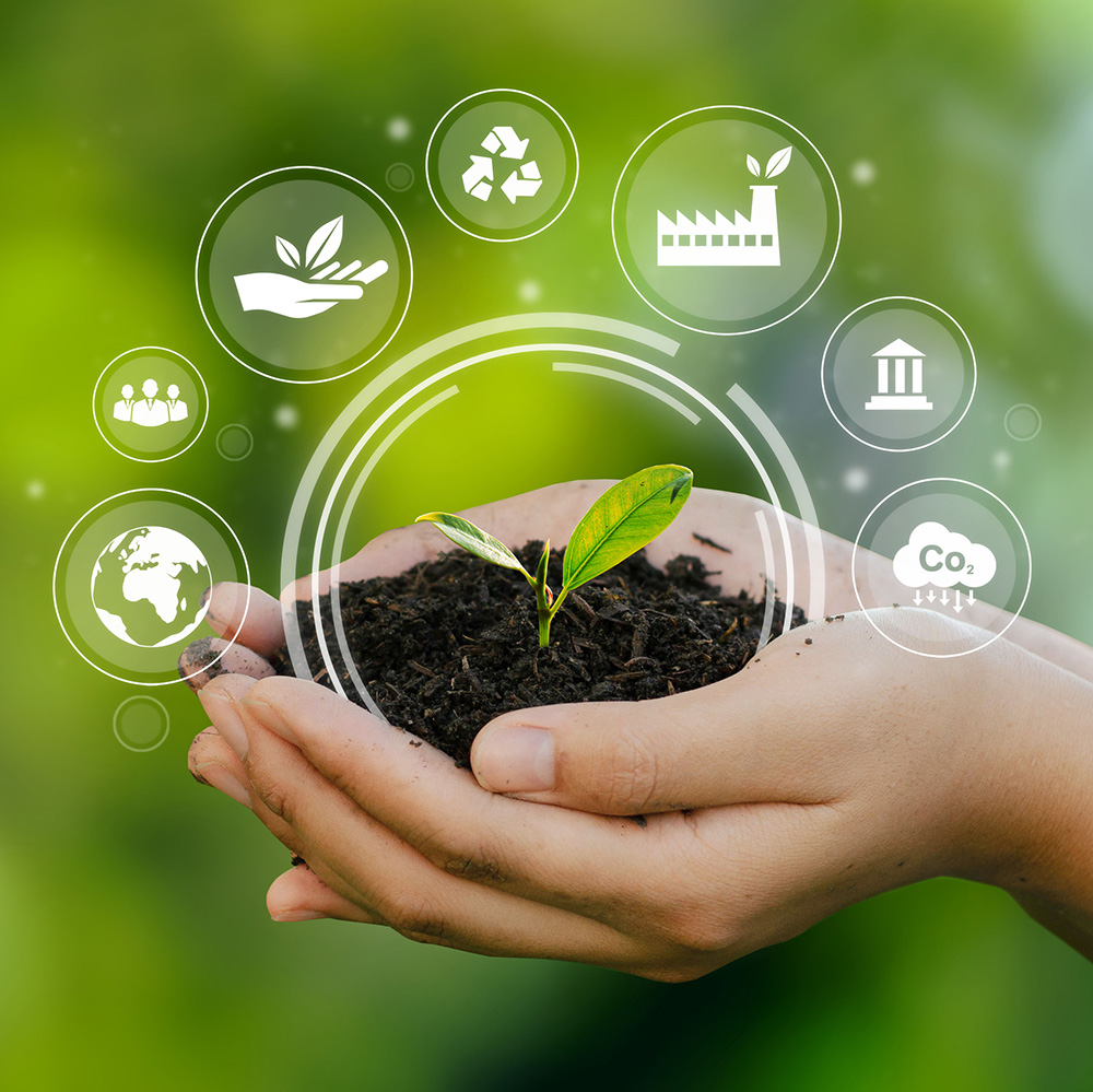 Human hand holding green environmental tree ESG icon 