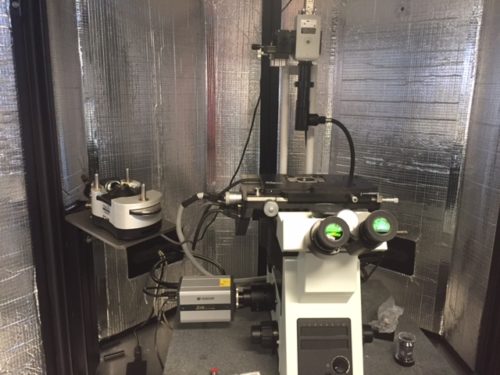 AFM1-500x375-1 ASYLUM MFP-3D SCANNING PROBE MICROSCOPE