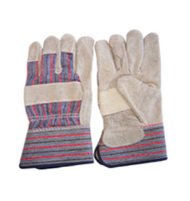 gloves2 EHS - Lab Safety Training
