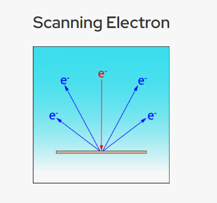 scanningelectron SEM -Scanning Electron Microscopy
