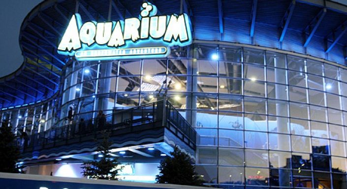 Denver Aquarium Tickets