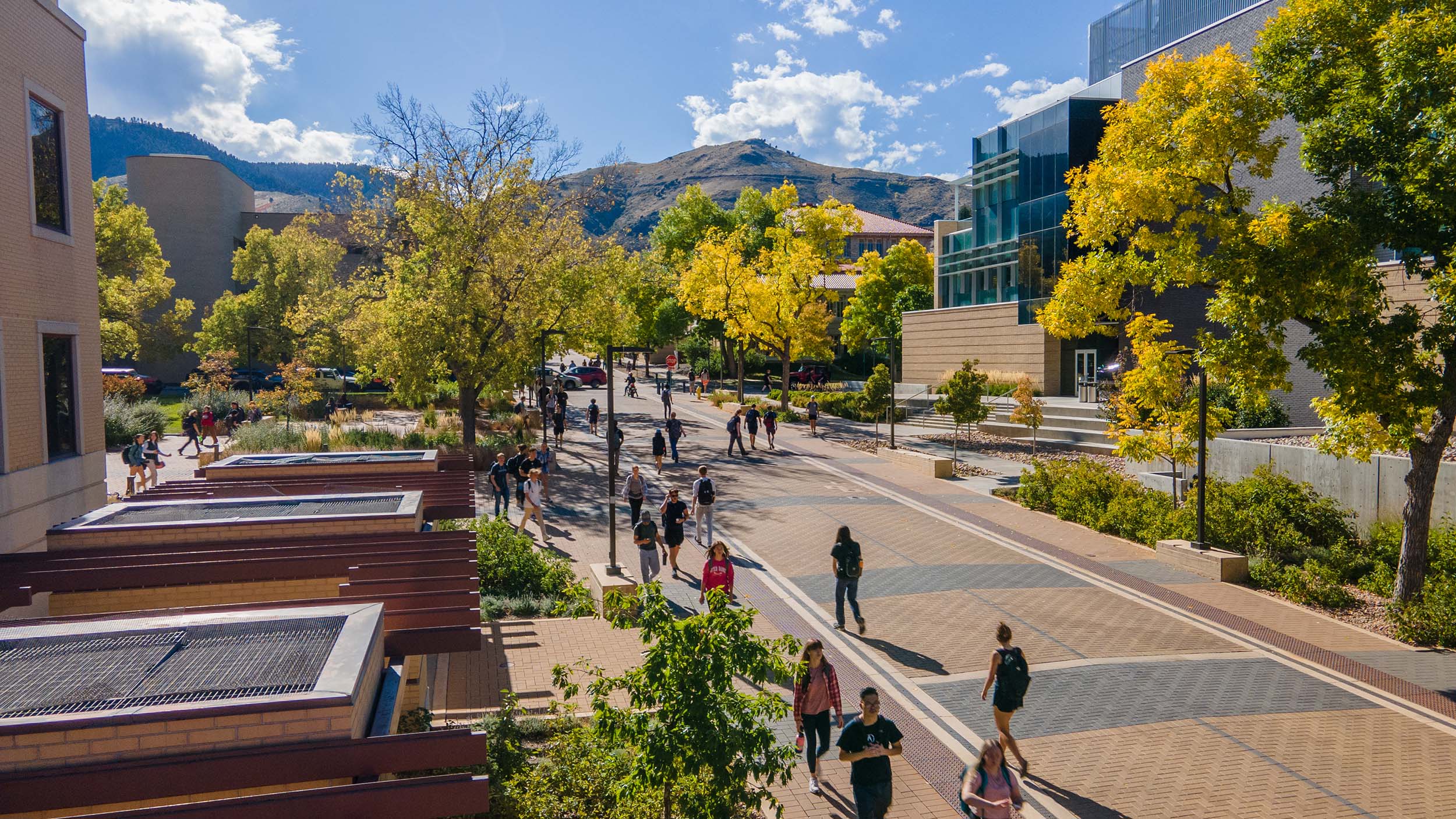 Aerial Shot of Campus