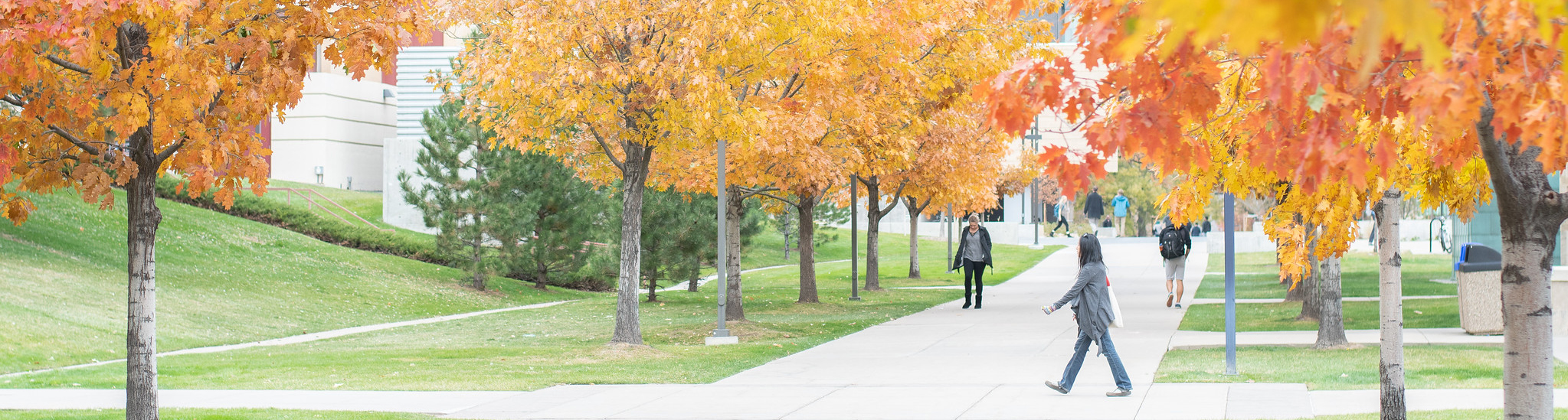 campus with fall foliage