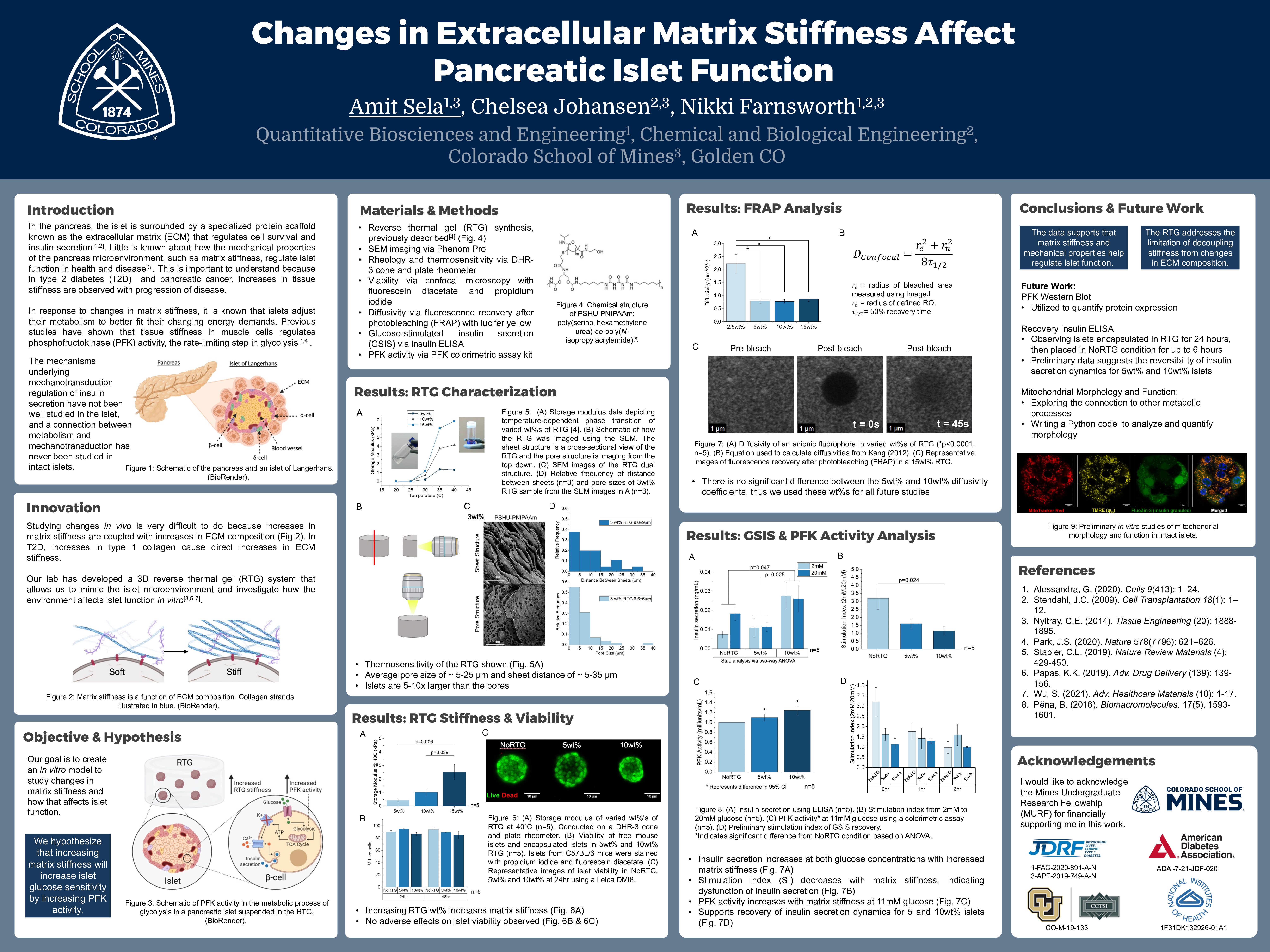 P13 Changes in Extracellular Matrix Stiffness Affect Pancreatic Islet Function