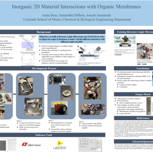 P18 Inorganic 2D Material Interactions with Organic Membranes