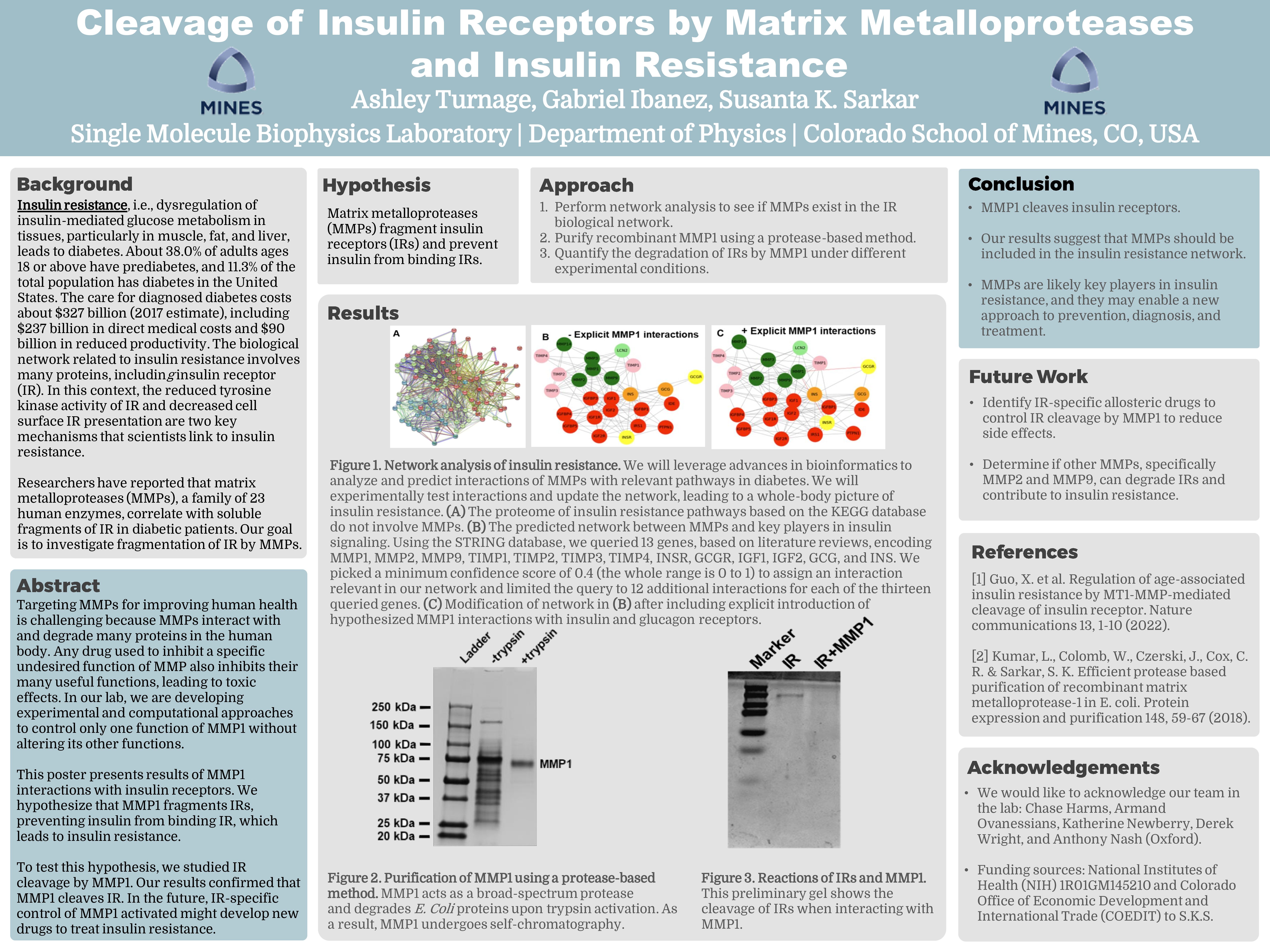 P122 Cleavage of Insulin Receptors by Matrix Metalloproteases and Insulin Resistance