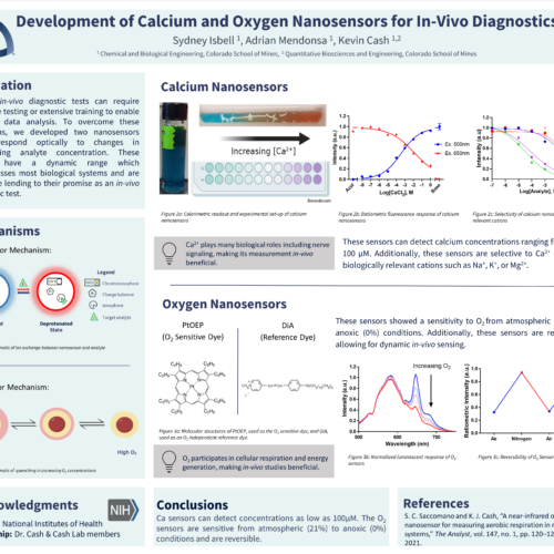 P22 Development of Calcium and Oxygen Nanosensors for In-Vivo Diagnostics