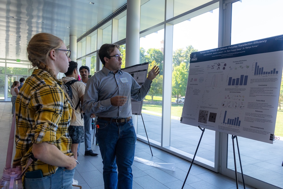 Travel Awards. Image of a student presenting research to a mentor at a poster conference.