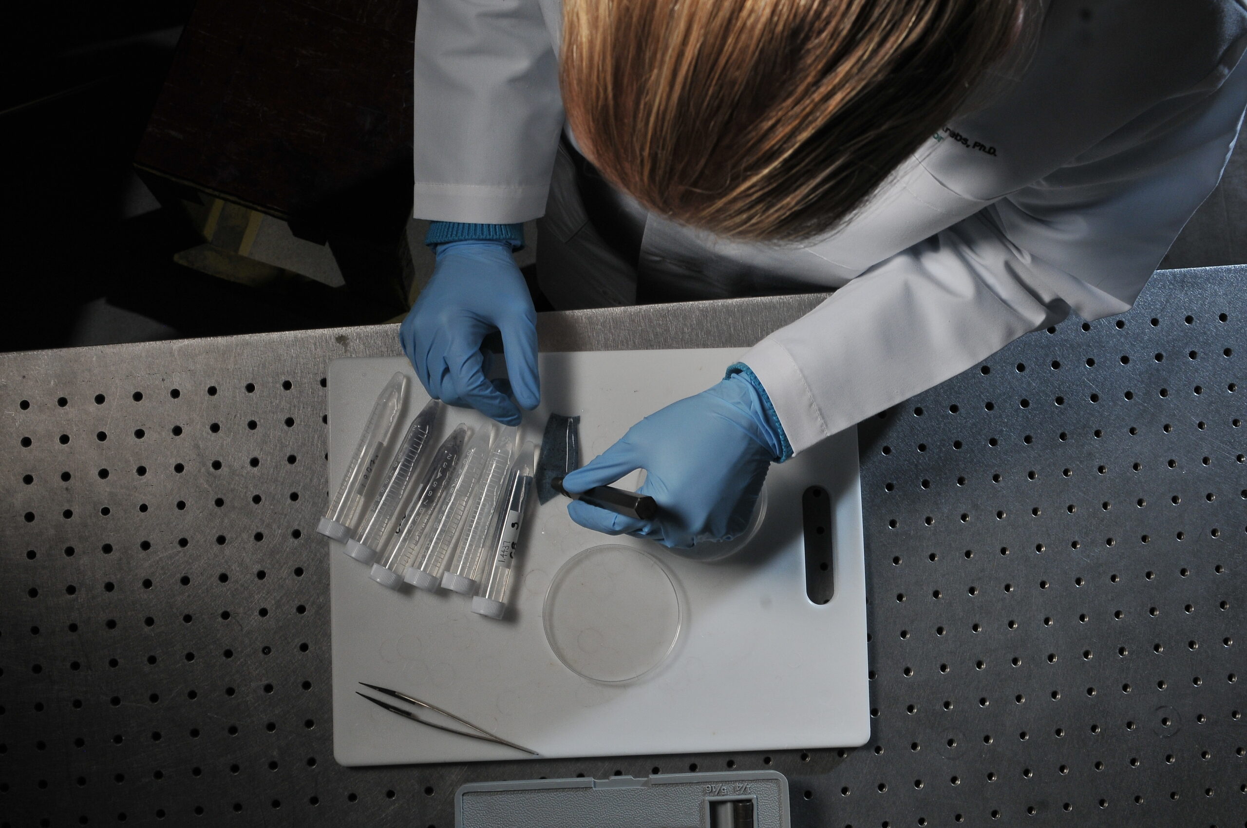 Test tubes on a tray with a pair of gloved hands